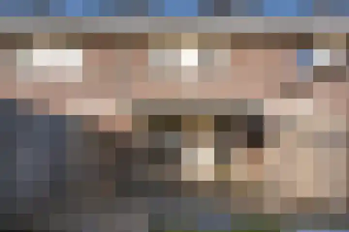 Dreef 26 Heusden thumbnail 26