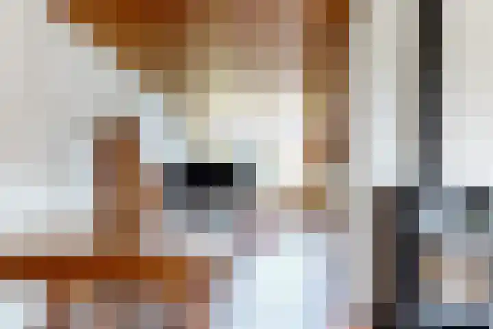 Dreef 3 Kockengen thumbnail 14