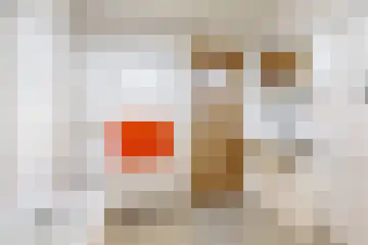 Dreef 3 Kockengen thumbnail 29