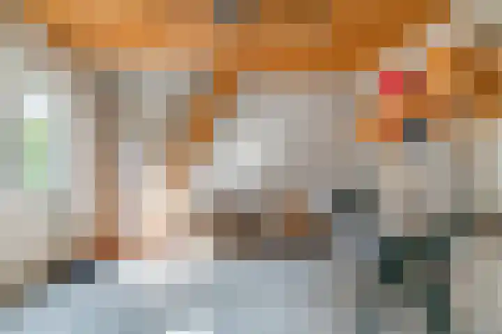 Dreef 3 Kockengen thumbnail 39