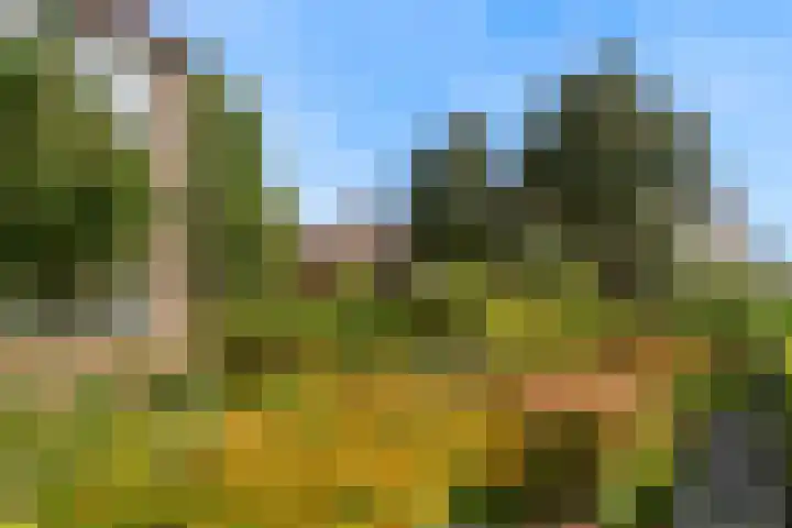 Dreef 3 Kockengen thumbnail 41