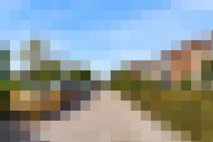 Dreef 3 Kockengen thumbnail 48