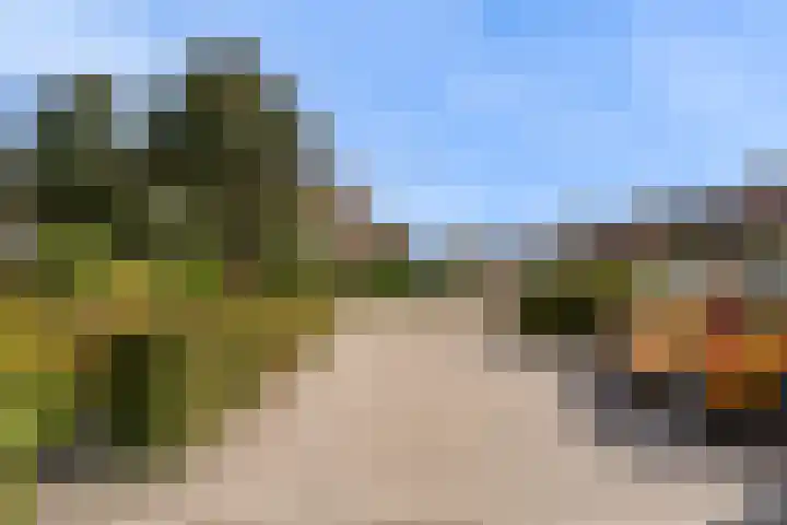 Dreef 3 Kockengen thumbnail 49