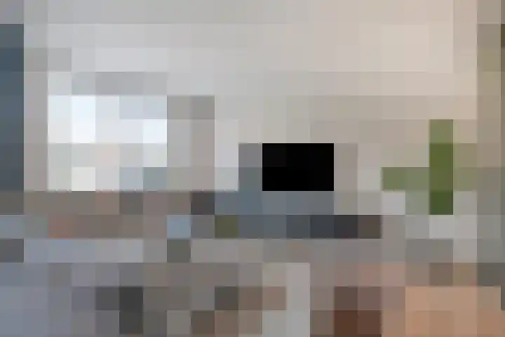 Dreef 40 Heusden foto 2