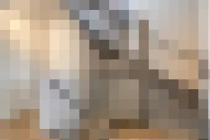 Dreef 40 Heusden thumbnail 25