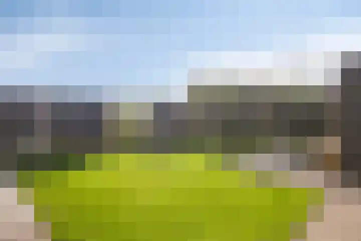 Dreef 40 Heusden thumbnail 37