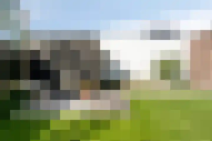 Dreef 40 Heusden thumbnail 38