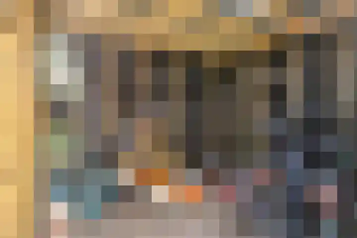 Dreef 40 Heusden thumbnail 40