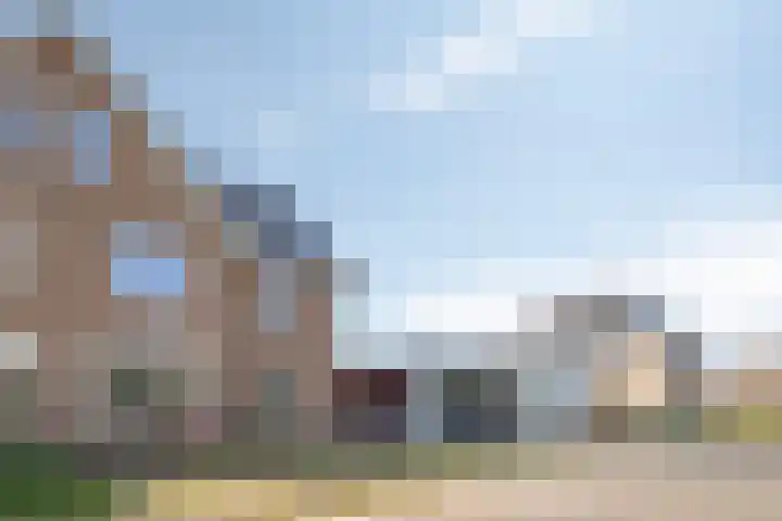 Dreef 40 Heusden thumbnail 44