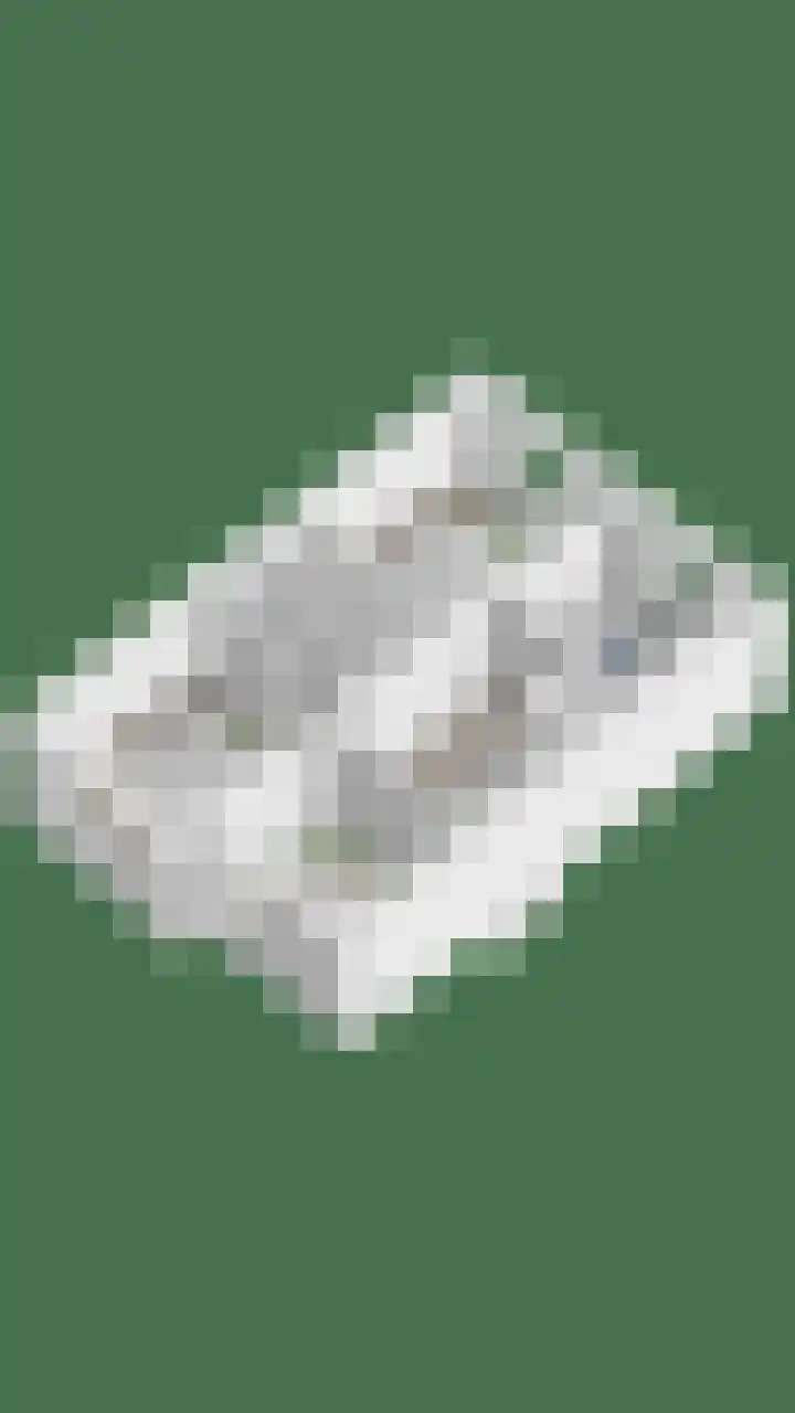 Dreef 40 Heusden thumbnail 49