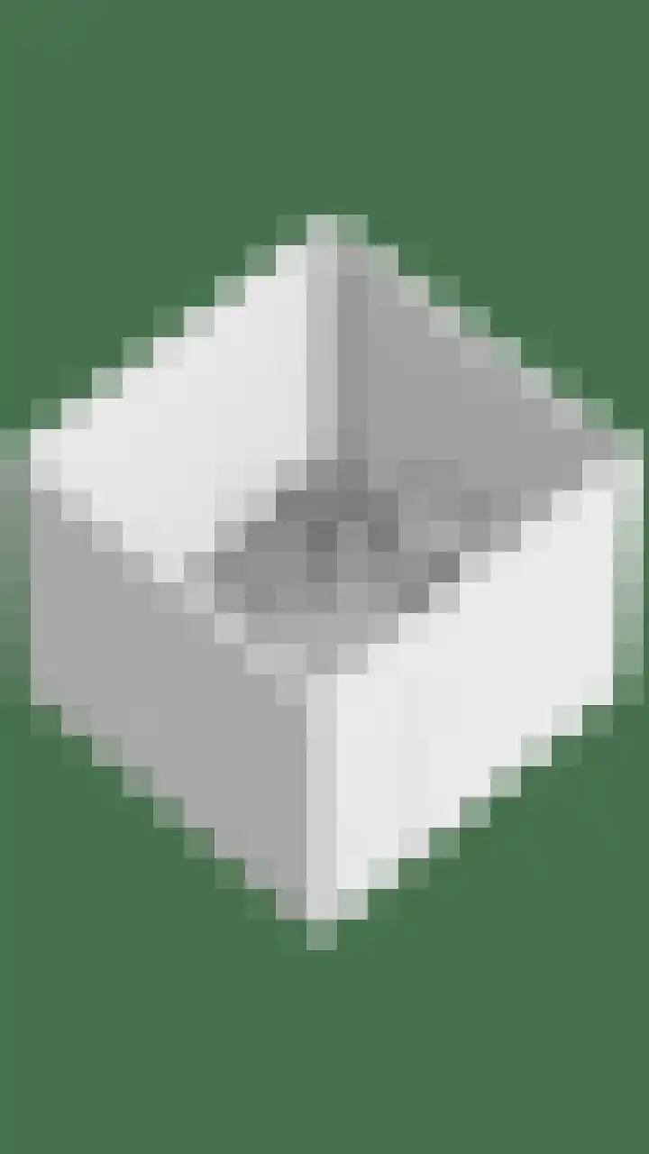 Dreef 40 Heusden thumbnail 53