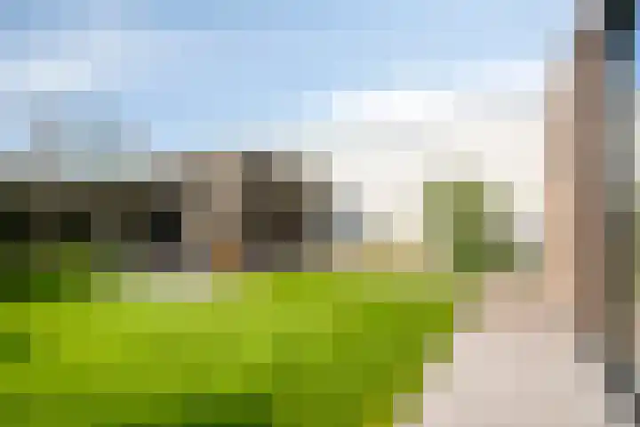 Dreef 40 Heusden thumbnail 6