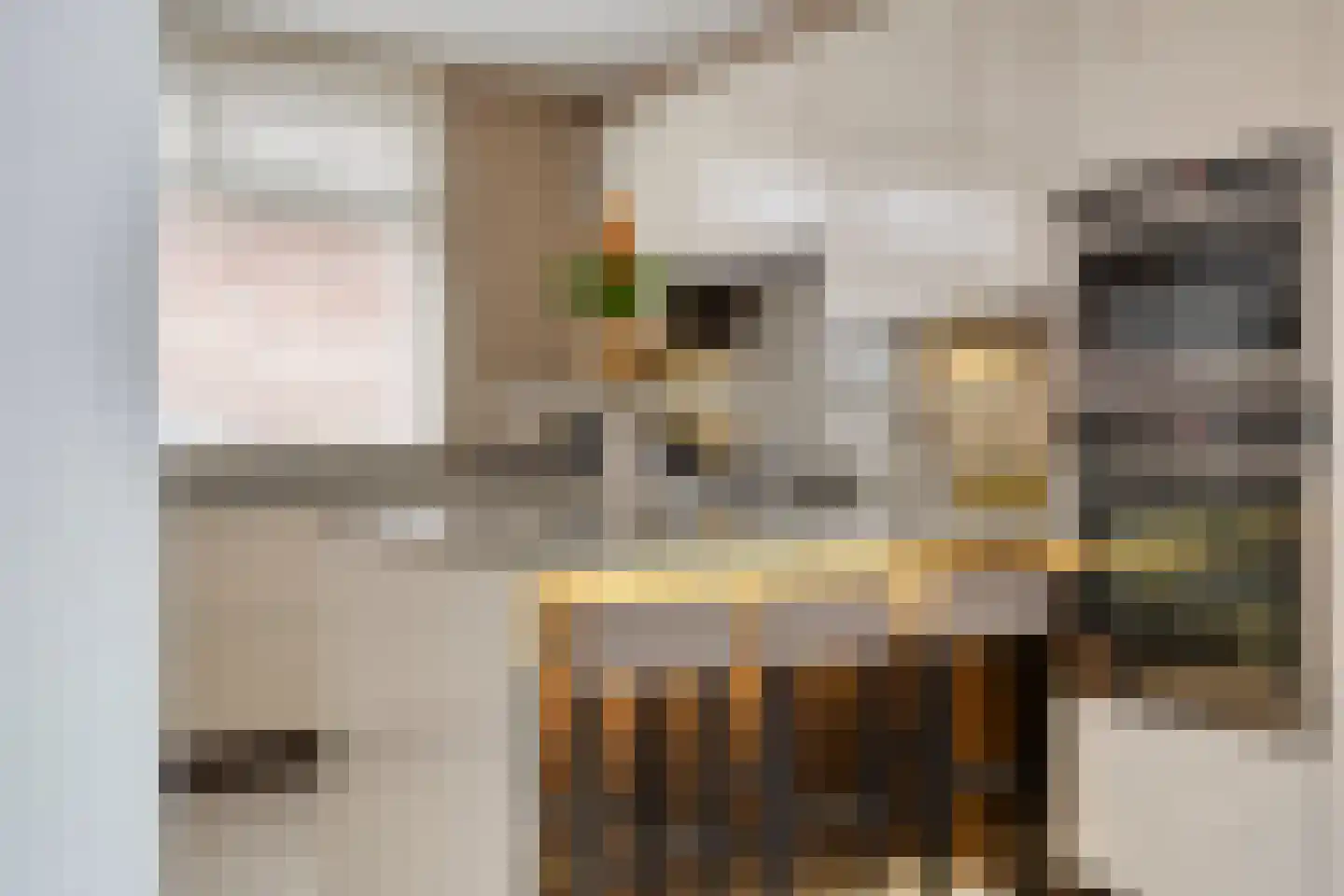 Dreef 43 Veldhoven thumbnail 13