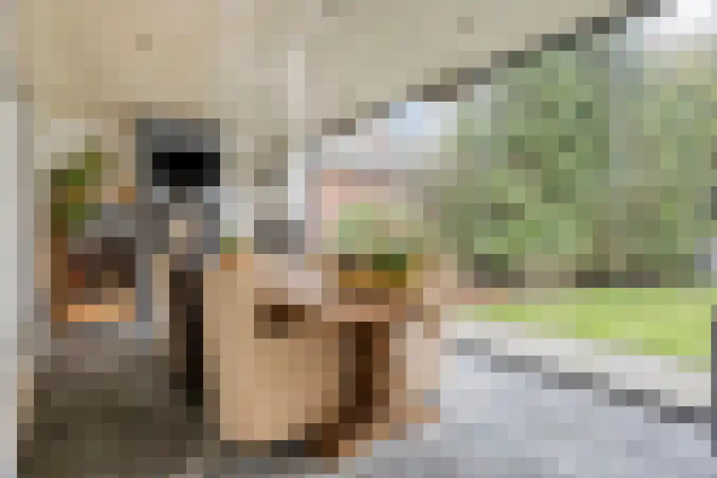 Dreef 43 Veldhoven thumbnail 24