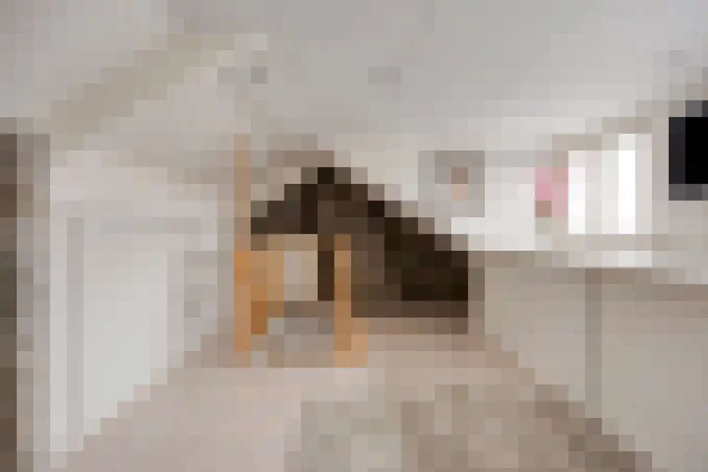 Dreef 43 Veldhoven thumbnail 38
