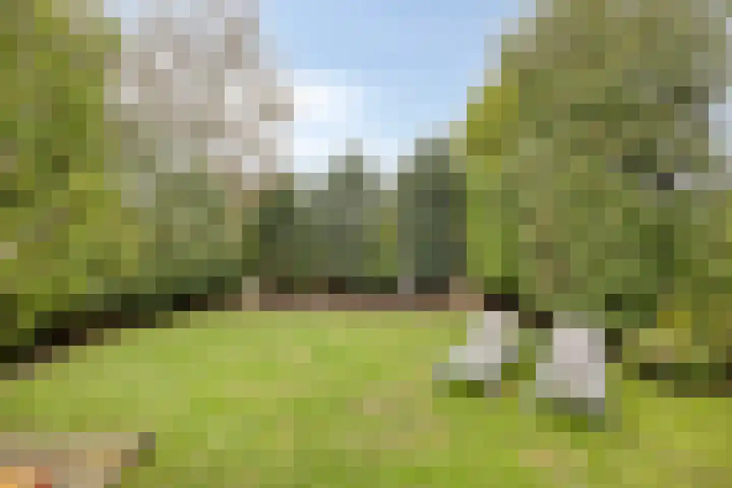 Dreef 43 Veldhoven thumbnail 44