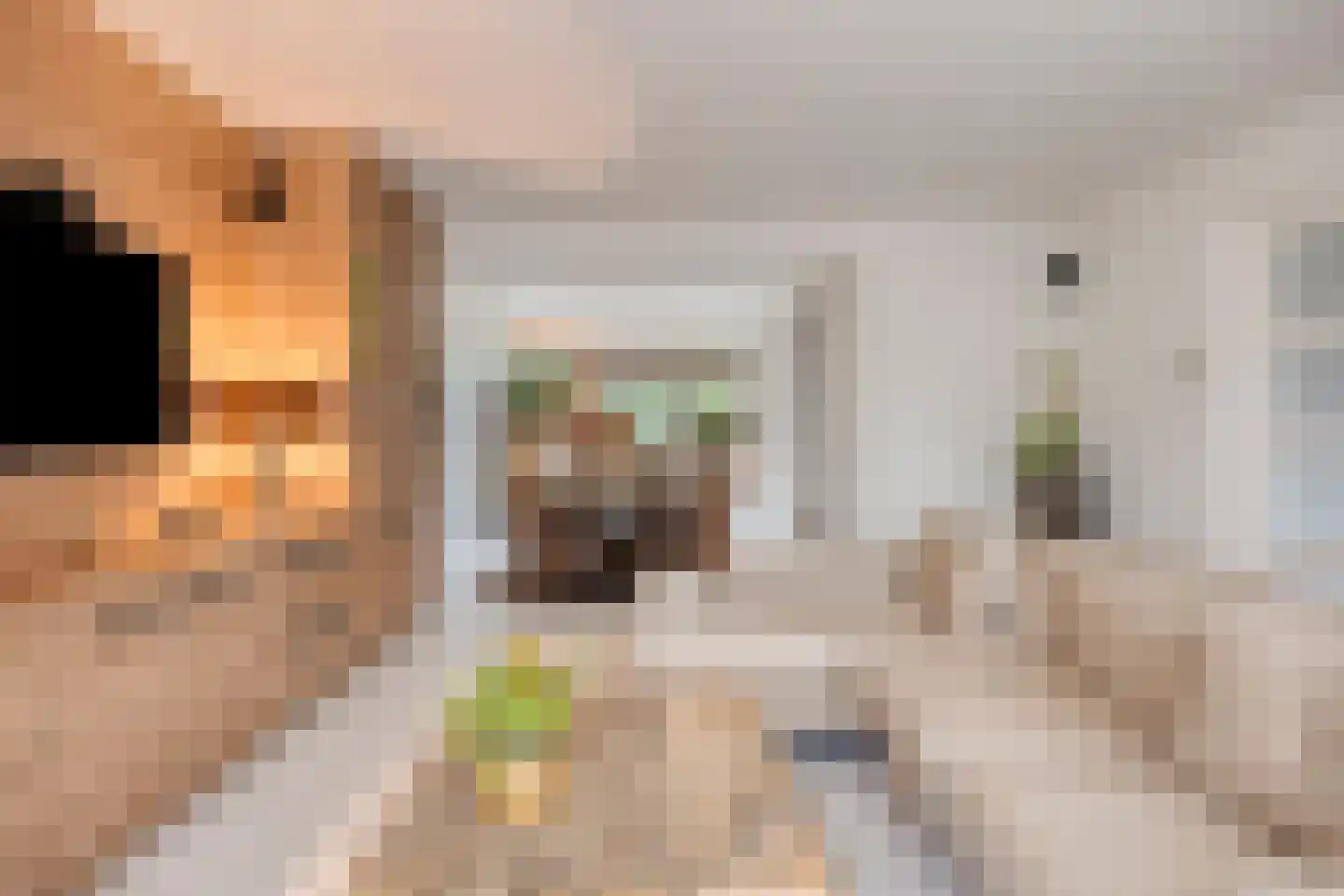 Dreef 43 Veldhoven thumbnail 7