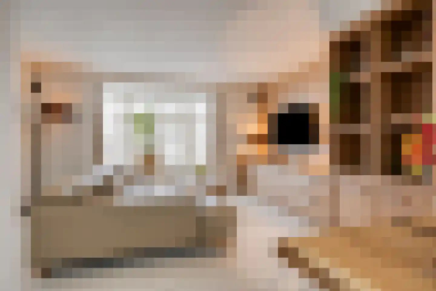 Dreef 43 Veldhoven thumbnail 9