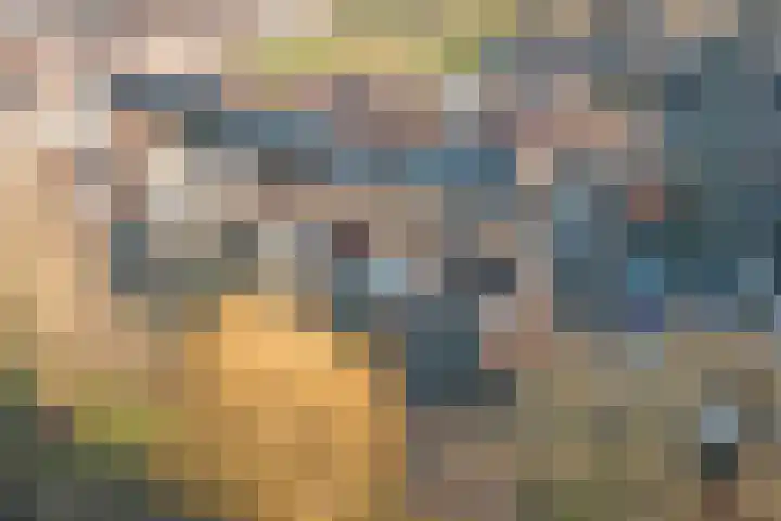 Dreef 56 Hellevoetsluis thumbnail 39