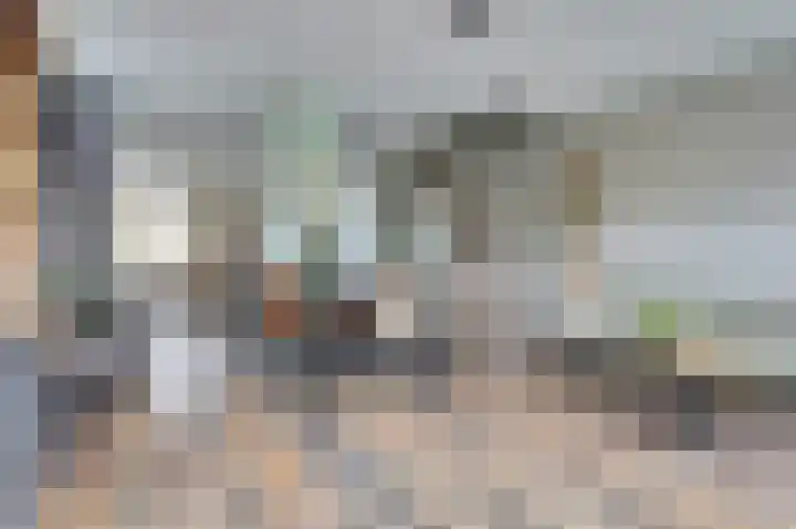 Dreef 56 Hellevoetsluis thumbnail 5