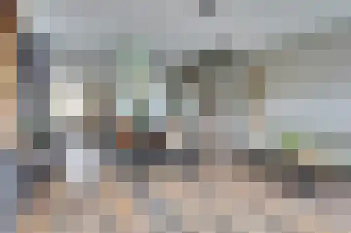 Dreef 56 Hellevoetsluis thumbnail 9