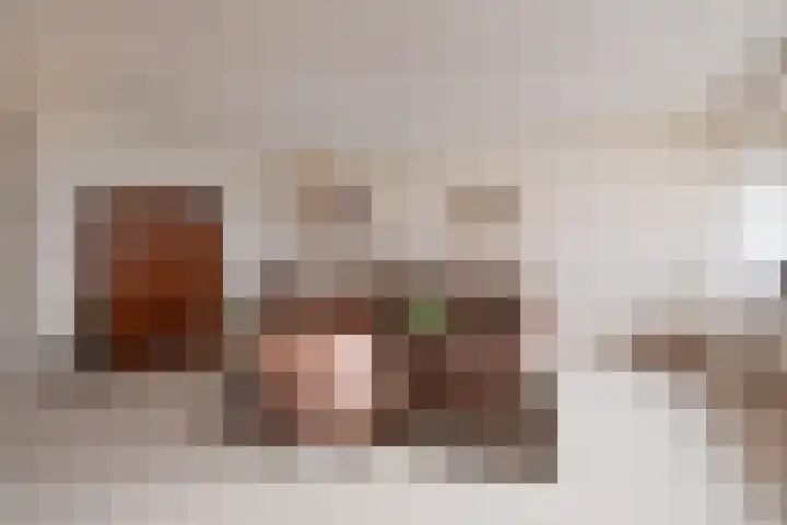 Dreef 60 Gouda thumbnail 14