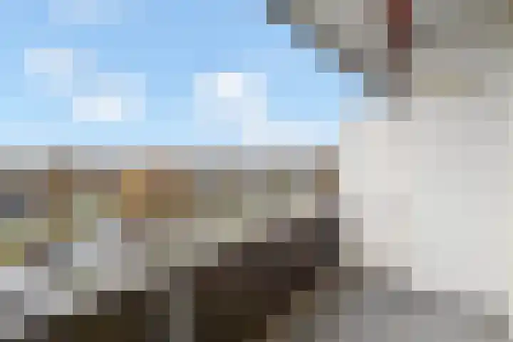 Dreef 60 Gouda thumbnail 16