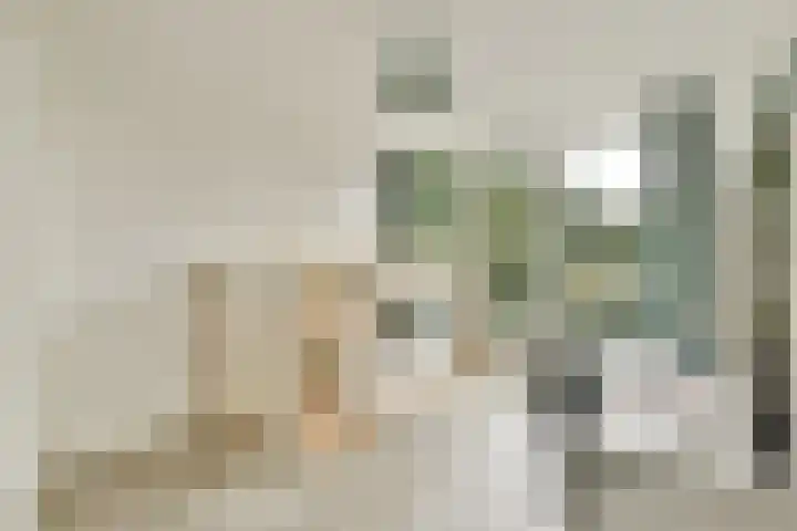 Dreef 60 Gouda thumbnail 17