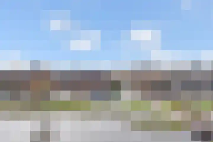 Dreef 60 Gouda thumbnail 25