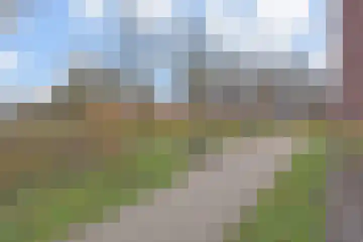 Dreef 60 Gouda thumbnail 31