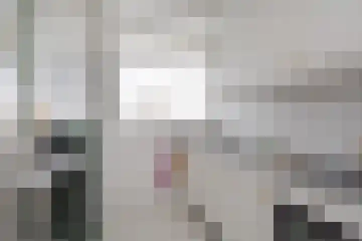 Dreef 60 Gouda thumbnail 4