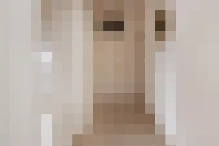 Dreef 60 Gouda thumbnail 9