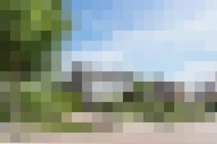 Dreef 62 Vroomshoop