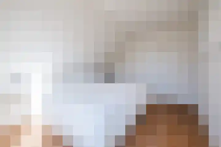 Dreef 69 Eersel thumbnail 25