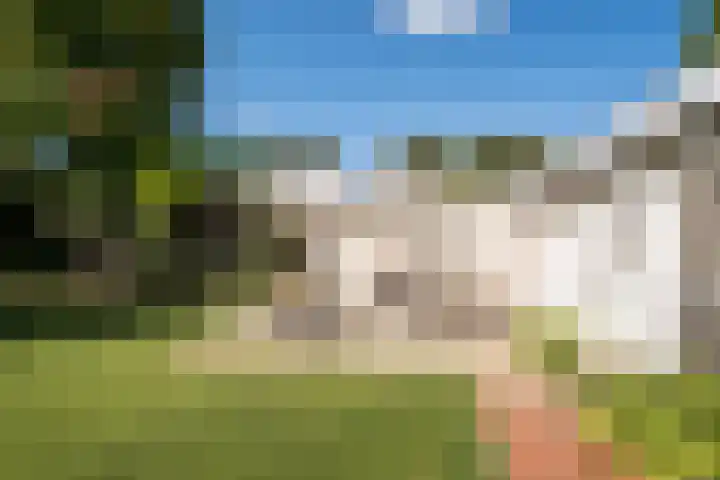 Dreef 69 Eersel thumbnail 44