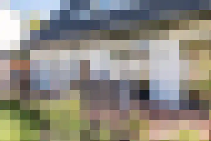 Dreef 69 Eersel thumbnail 45