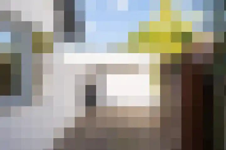 Dreef 69 Eersel thumbnail 5