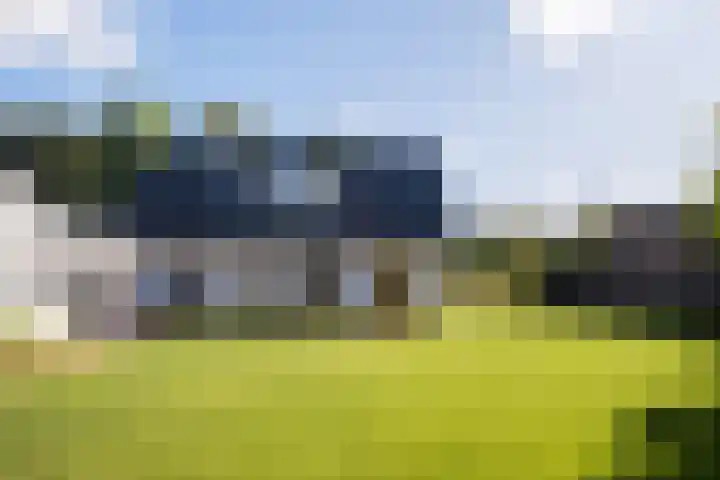 Dreef 69 Eersel thumbnail 50