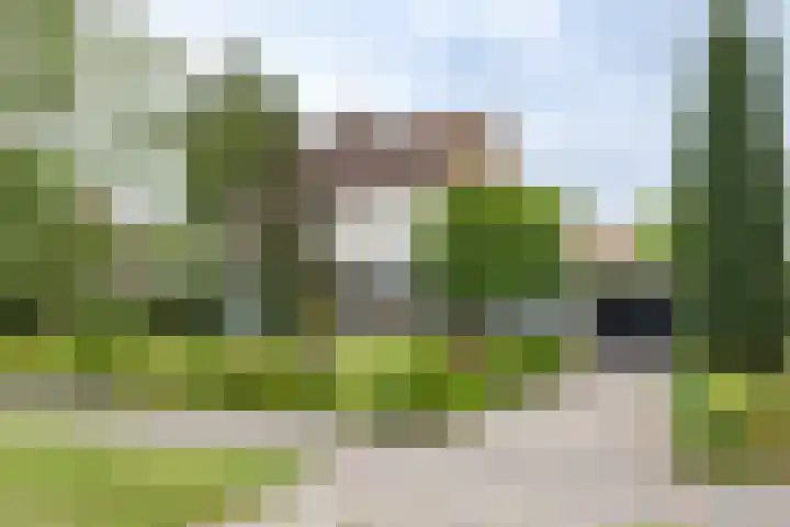 Dreef 7 in 't Veld
