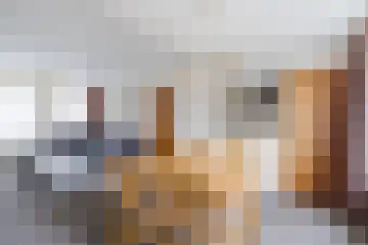 Dreef 70 Vroomshoop thumbnail 12