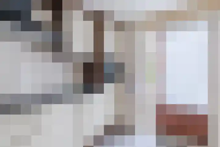 Dreef 70 Vroomshoop thumbnail 13