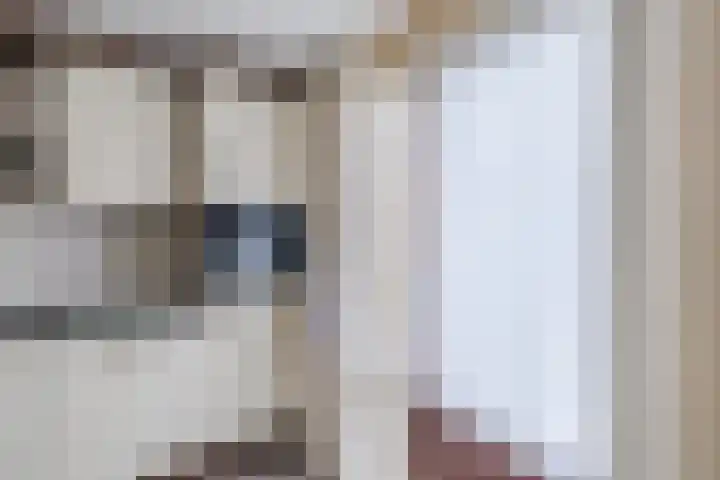 Dreef 70 Vroomshoop thumbnail 14