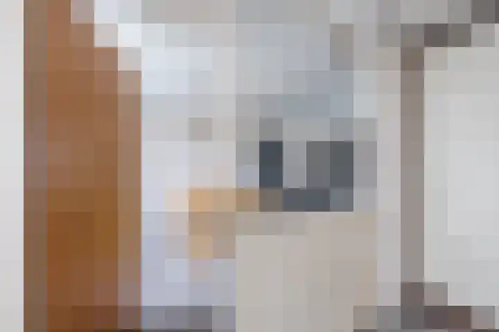 Dreef 70 Vroomshoop thumbnail 15