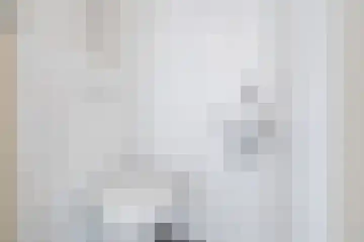 Dreef 70 Vroomshoop thumbnail 16