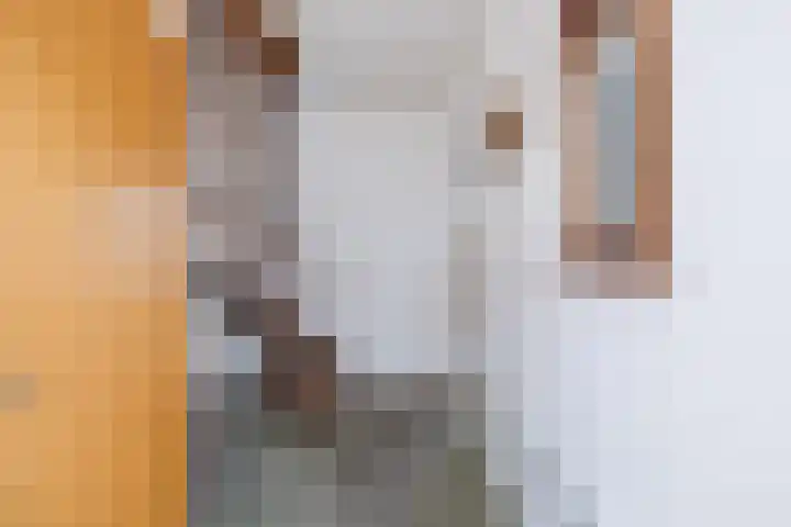 Dreef 70 Vroomshoop thumbnail 17