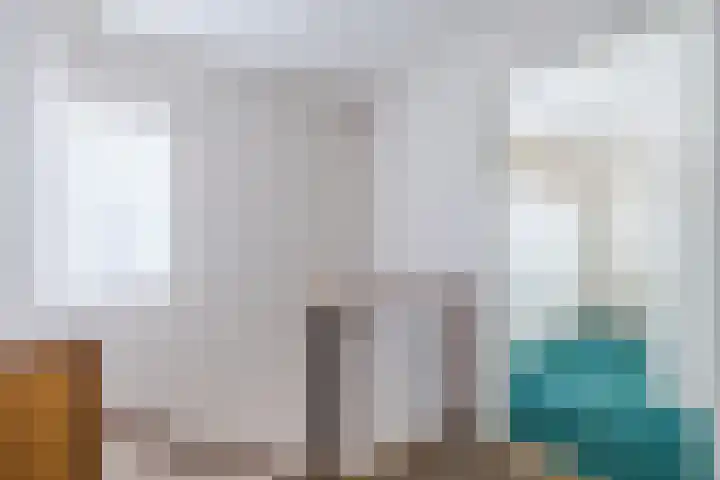 Dreef 70 Vroomshoop thumbnail 18