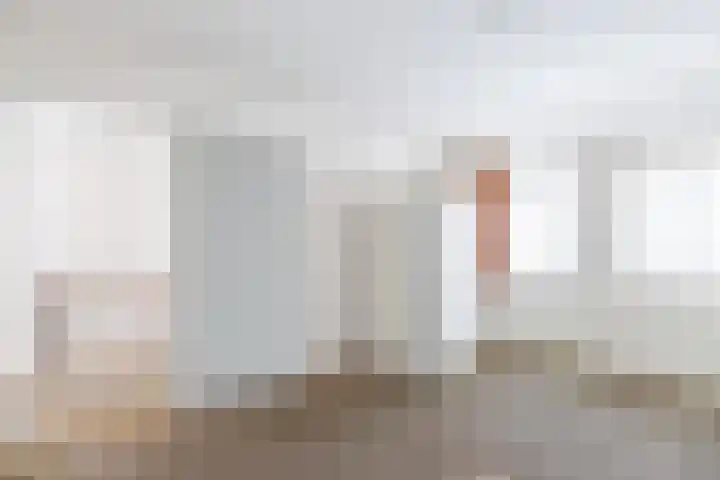 Dreef 70 Vroomshoop thumbnail 20