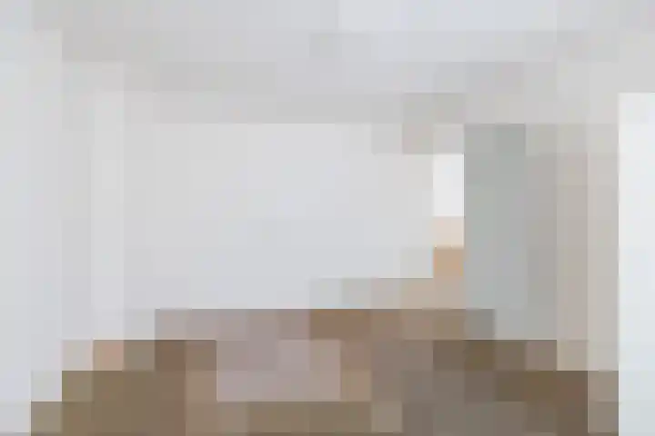 Dreef 70 Vroomshoop thumbnail 21
