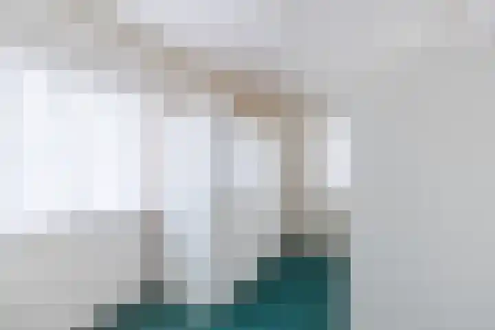 Dreef 70 Vroomshoop thumbnail 25