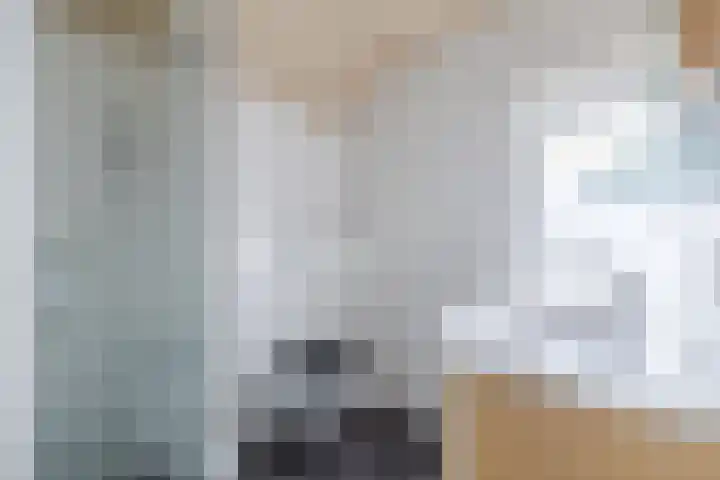 Dreef 70 Vroomshoop thumbnail 28